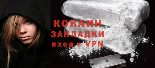 прущие грибы Бородино