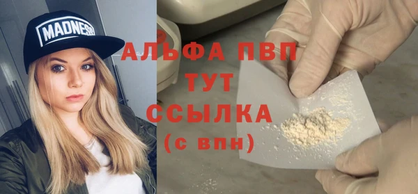 прущие грибы Бородино