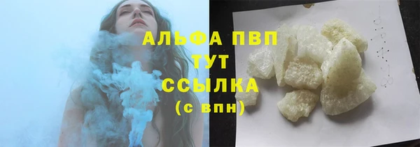 прущие грибы Бородино