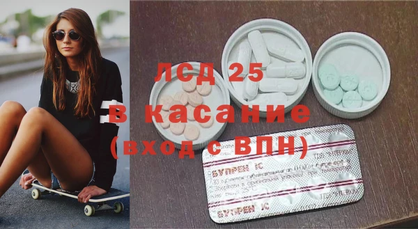 прущие грибы Бородино
