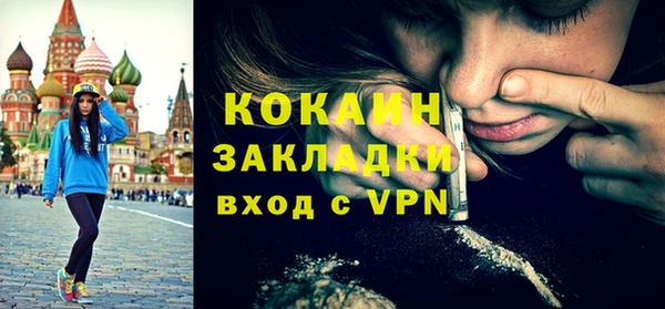 прущие грибы Бородино