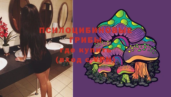 прущие грибы Бородино