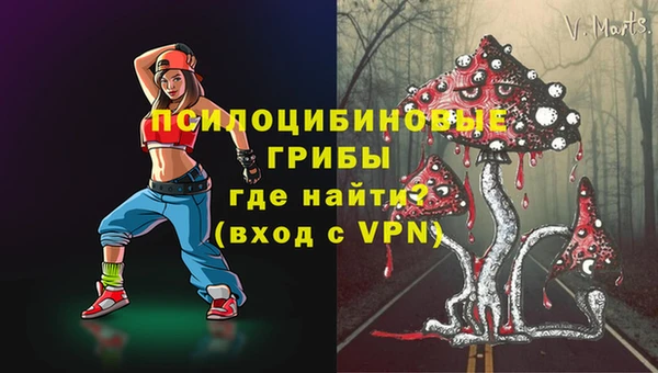 прущие грибы Бородино