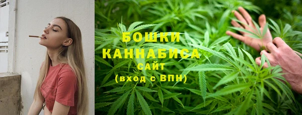 дживик Верея