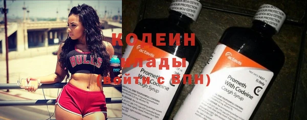дживик Верея
