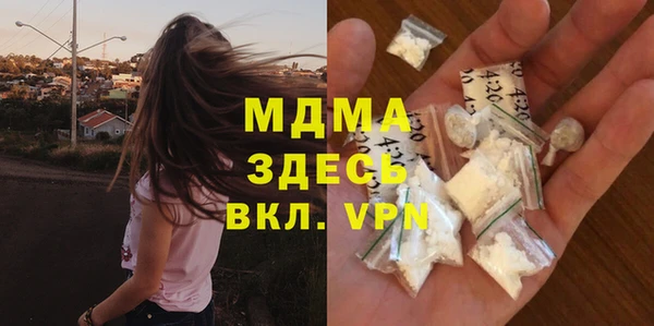 прущие грибы Бородино